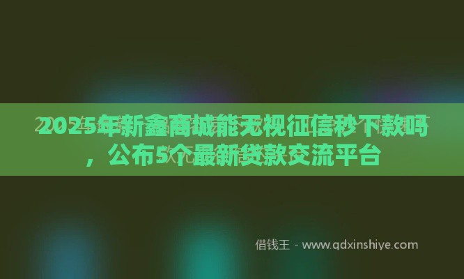 2025年新鑫商城能无视征信秒下款吗，公布5个最新贷款交流平台