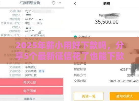 2025年薪小用好下款吗，分享5个最新征信花了也能下款的平台