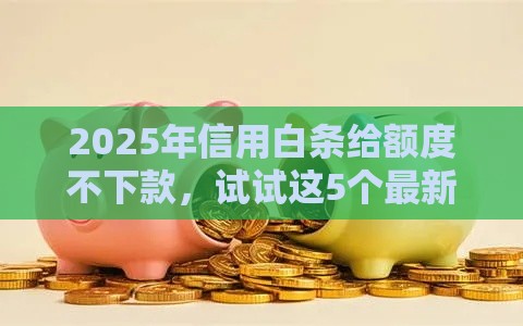 2025年信用白条给额度不下款，试试这5个最新高炮口子秒下款2025