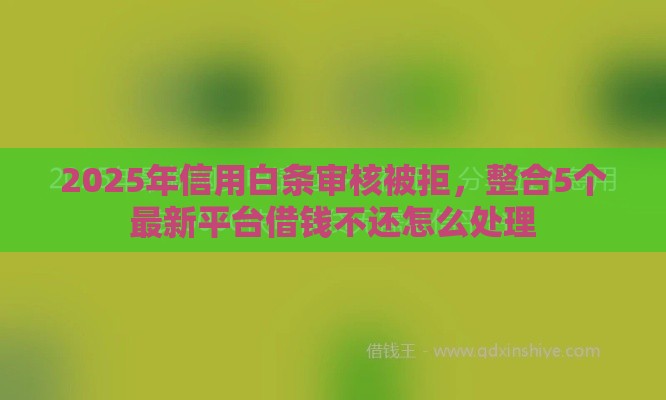 2025年信用白条审核被拒，整合5个最新平台借钱不还怎么处理