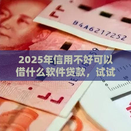 2025年信用不好可以借什么软件贷款，试试这五个最新借钱的平台100%能借到18周岁