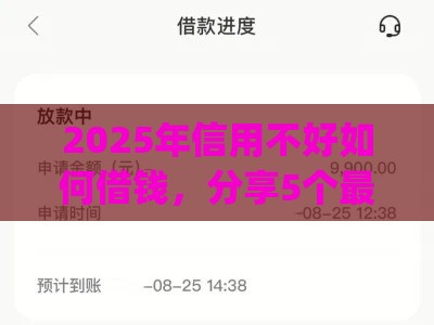2025年信用不好如何借钱，分享5个最新黑口子必下款app