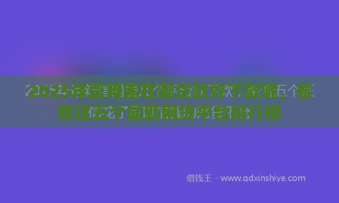 2025年信用差在哪贷款好下款呢，看看这五个最新网贷平台排行榜