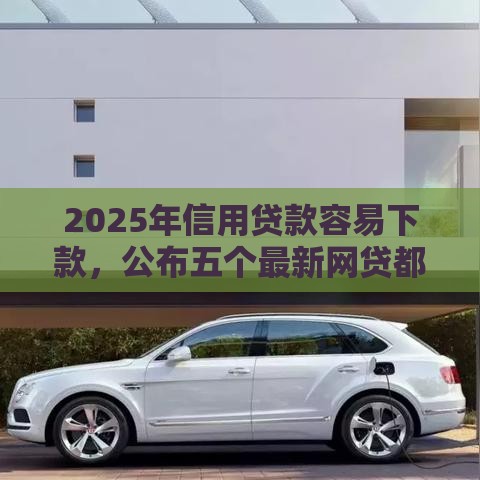 2025年信用贷款容易下款，公布五个最新网贷都被拒绝了还有什么口子