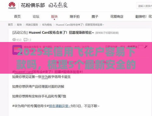 2025年信用飞花户容易下款吗，梳理5个最新安全的网贷平台排名不分先后