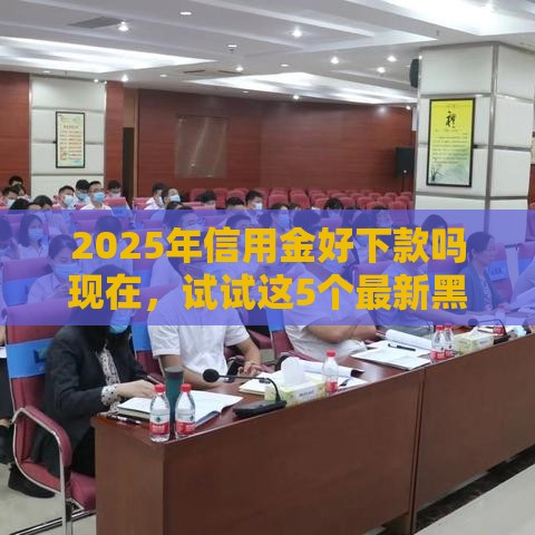 2025年信用金好下款吗现在，试试这5个最新黑贷款平台