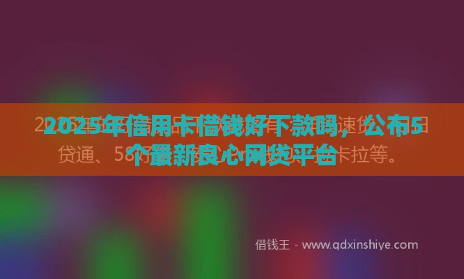 2025年信用卡借钱好下款吗，公布5个最新良心网贷平台