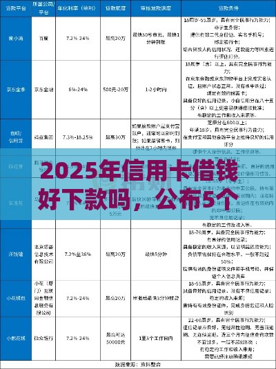 2025年信用卡借钱好下款吗，公布5个最新良心网贷平台