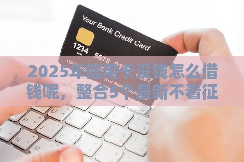 2025年信用卡没钱怎么借钱呢，整合5个最新不看征信和负债的贷款平台