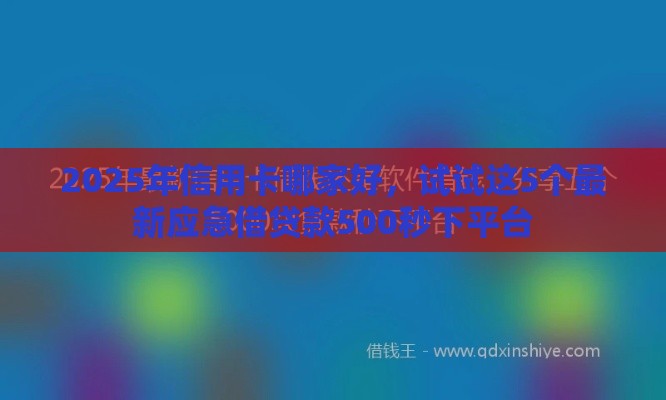 2025年信用卡哪家好，试试这5个最新应急借贷款500秒下平台