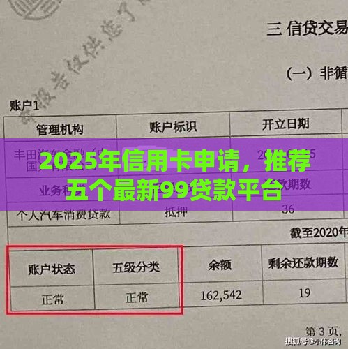 2025年信用卡申请，推荐五个最新99贷款平台