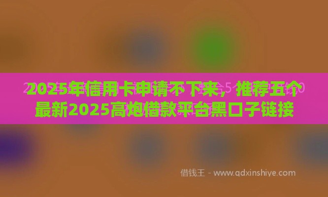 2025年信用卡申请不下来，推荐五个最新2025高炮借款平台黑口子链接