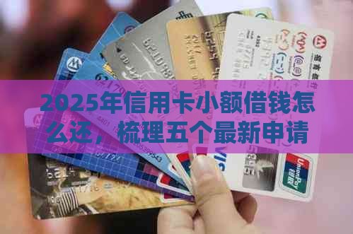 2025年信用卡小额借钱怎么还，梳理五个最新申请频繁被风控能下的口子