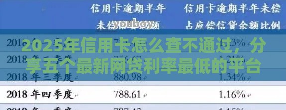 2025年信用卡怎么查不通过，分享五个最新网贷利率最低的平台