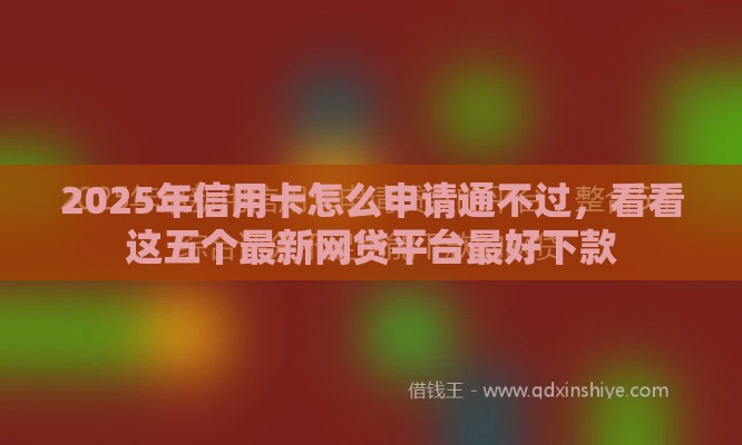 2025年信用卡怎么申请通不过,看看这五个最新网贷平台最好下款 2025年信用卡怎么申请通不过,看看这五个最新网贷平台最好下款