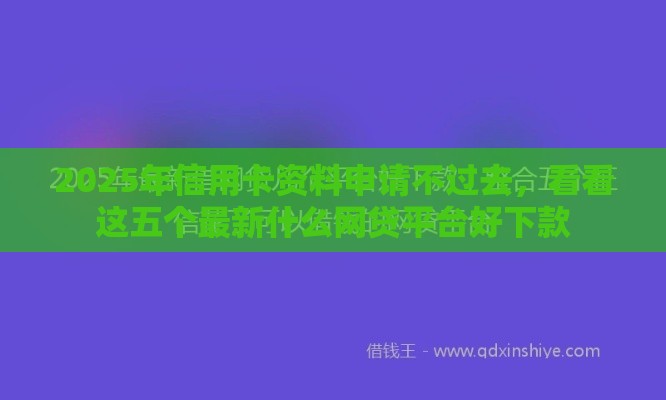 2025年信用卡资料申请不过去，看看这五个最新什么网贷平台好下款