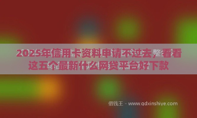 2025年信用卡资料申请不过去，看看这五个最新什么网贷平台好下款