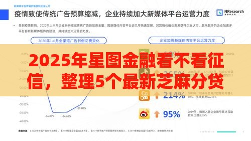 2025年星图金融看不看征信，整理5个最新芝麻分贷款平台