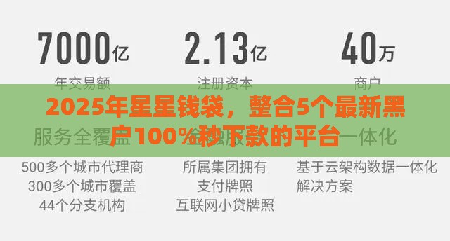 2025年星星钱袋，整合5个最新黑户100%秒下款的平台