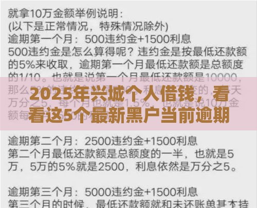 2025年兴城个人借钱，看看这5个最新黑户当前逾期严重负债高综合评分不足能下款的平台