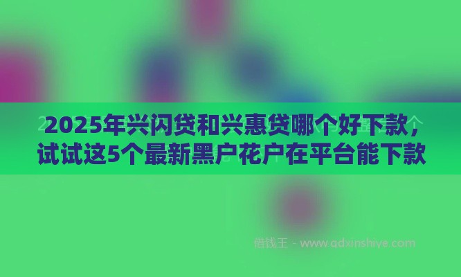 2025年兴闪贷和兴惠贷哪个好下款，试试这5个最新黑户花户在平台能下款
