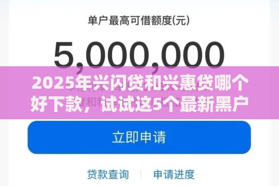 2025年兴闪贷和兴惠贷哪个好下款，试试这5个最新黑户花户在平台能下款
