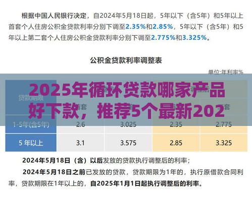 2025年循环贷款哪家产品好下款，推荐5个最新2025年高炮口子秒下款