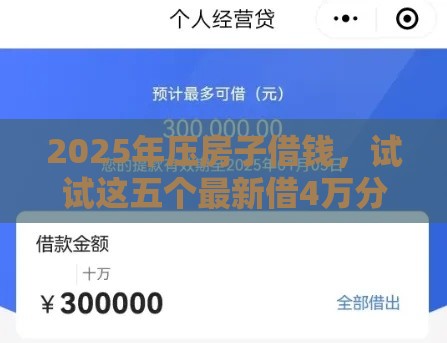 2025年压房子借钱，试试这五个最新借4万分48期平台