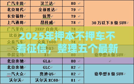 2025年押本不押车不看征信，整理五个最新借款平台借钱利息低