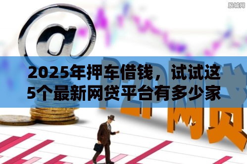 2025年押车借钱，试试这5个最新网贷平台有多少家