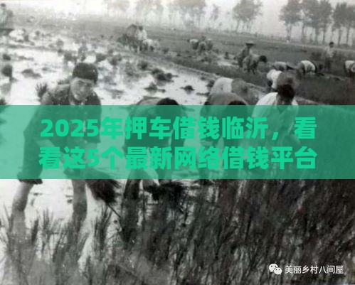 2025年押车借钱临沂，看看这5个最新网络借钱平台