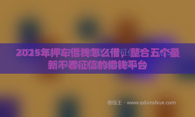 2025年押车借钱怎么借，整合五个最新不看征信的借钱平台