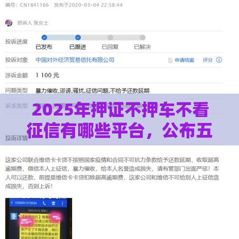 2025年押证不押车不看征信有哪些平台，公布五个最新网贷投诉平台官网