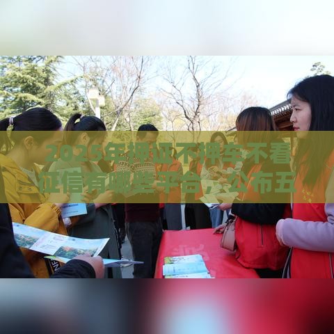 2025年押证不押车不看征信有哪些平台，公布五个最新网贷投诉平台官网