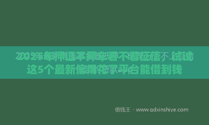 2025年押证不押车看不看征信，试试这5个最新信用花了平台能借到钱