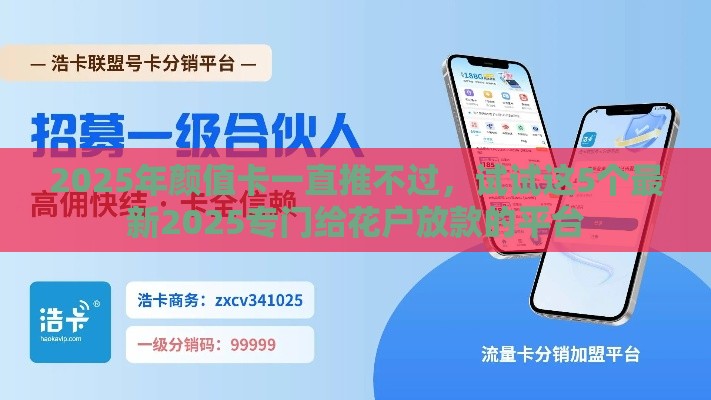 2025年颜值卡一直推不过，试试这5个最新2025专门给花户放款的平台