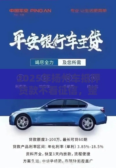 2025年扬州车抵押贷款不看征信，整合5个最新哪家贷款平台好