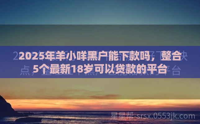 2025年羊小咩黑户能下款吗，整合5个最新18岁可以贷款的平台