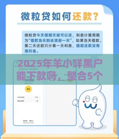 2025年羊小咩黑户能下款吗，整合5个最新18岁可以贷款的平台