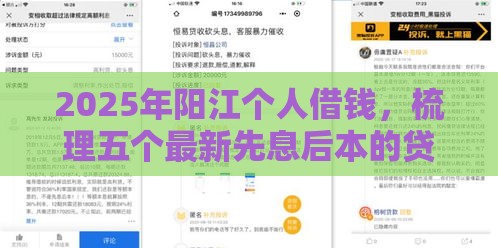 2025年阳江个人借钱，梳理五个最新先息后本的贷款平台