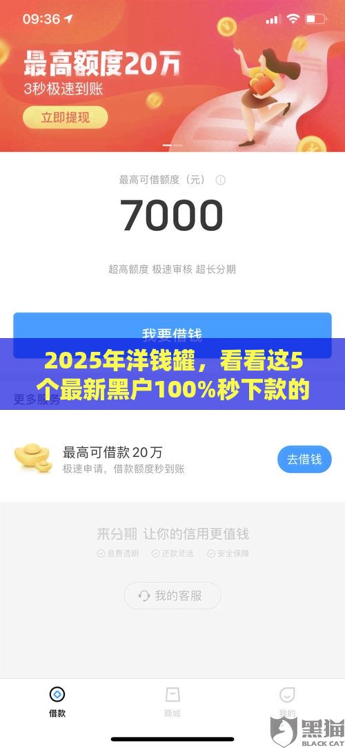 2025年洋钱罐，看看这5个最新黑户100%秒下款的平台