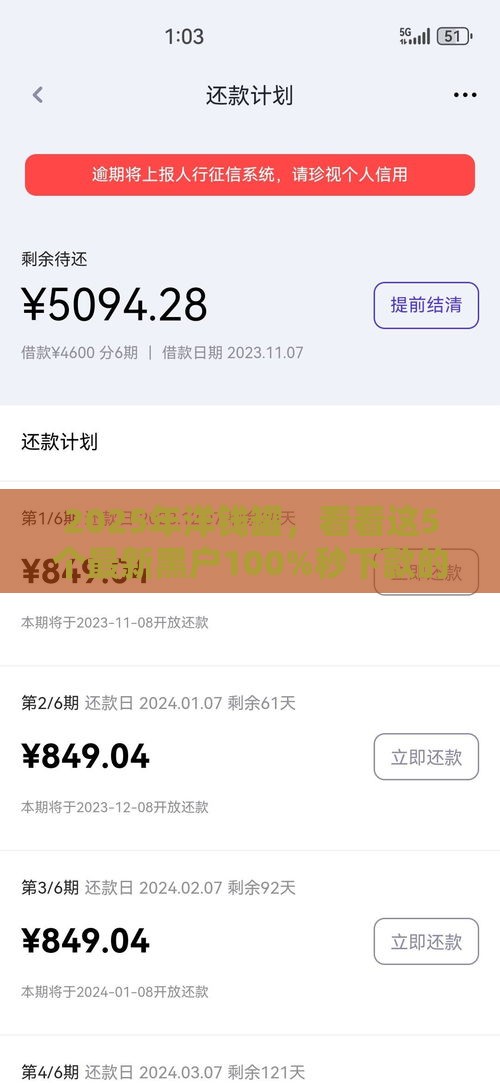 2025年洋钱罐，看看这5个最新黑户100%秒下款的平台