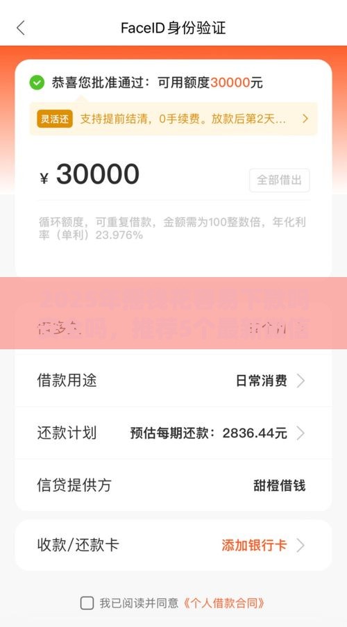 2025年摇钱花容易下款吗安全吗，推荐5个最新微信上正规借钱平台