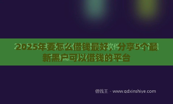 2025年要怎么借钱最好,分享5个最新黑户可以借钱的平台 2025年要怎么借钱最好,分享5个最新黑户可以借钱的平台