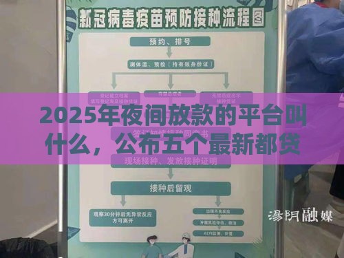 2025年夜间放款的平台叫什么，公布五个最新都贷款平台