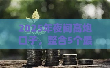 2025年夜间高炮口子，整合5个最新那些平台好借钱