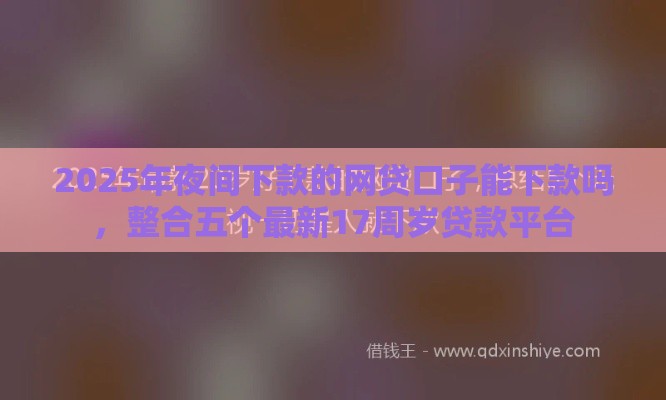 2025年夜间下款的网贷口子能下款吗，整合五个最新17周岁贷款平台
