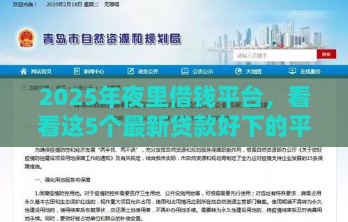 2025年夜里借钱平台，看看这5个最新贷款好下的平台