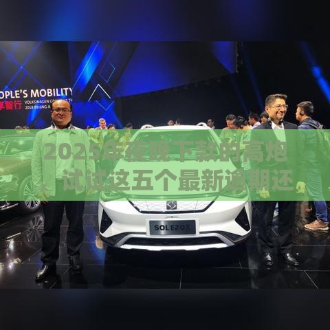 2025年夜晚下款的高炮，试试这五个最新逾期还可以贷款的平台