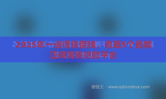 2025年一点借钱借钱，梳理5个最新正规网络贷款平台